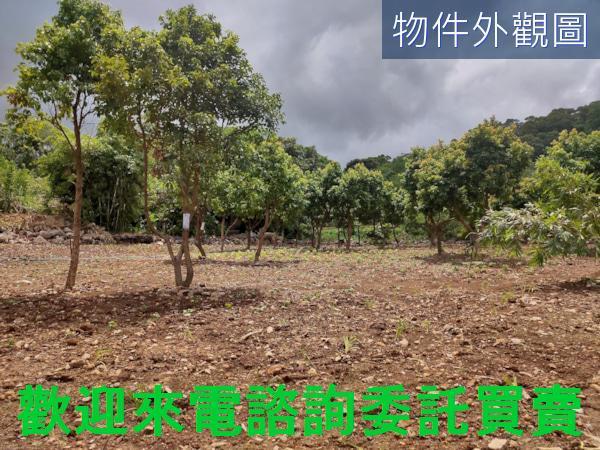 新北三芝農地-3