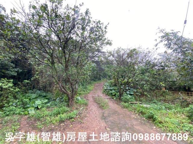 淡水農地-1
