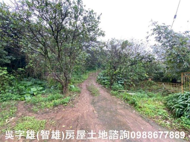 淡水農地-2