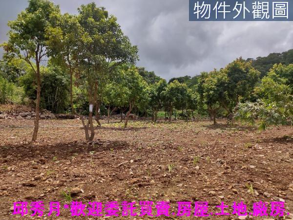 新北三芝農地-6
