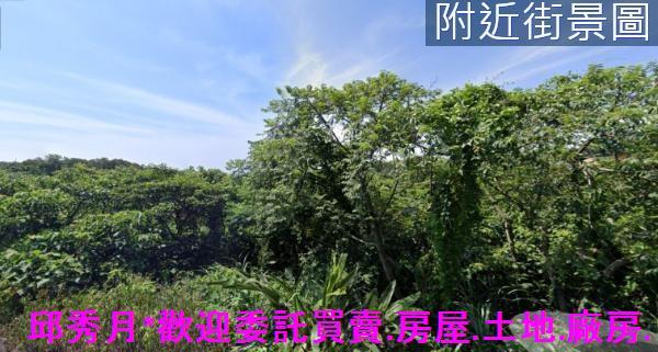 淡水農地-4