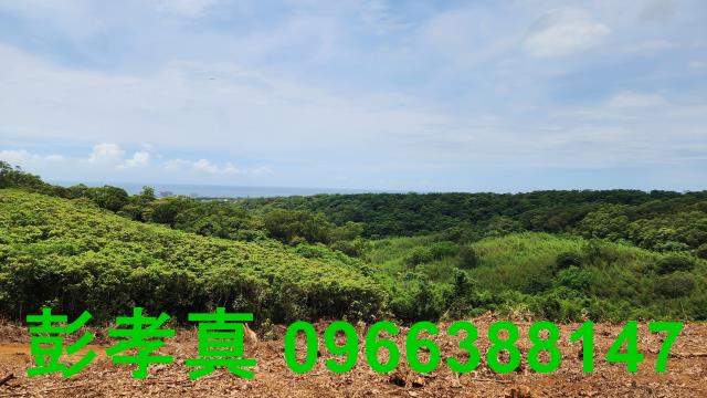 淡水農地-0