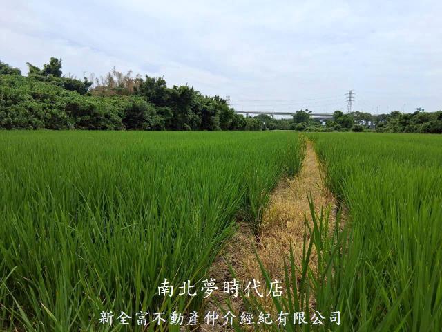 北投農地-4