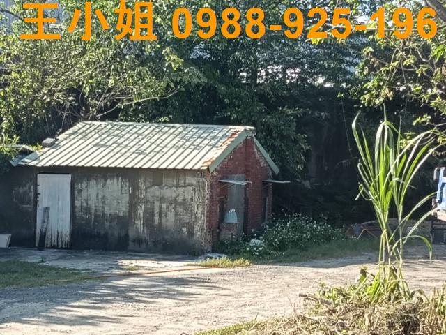 鶯歌農地-3